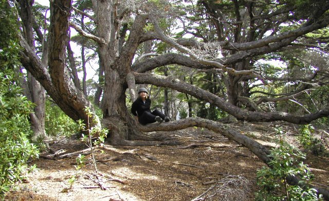If Only We'd Had a Hammock