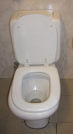 Square Bottom