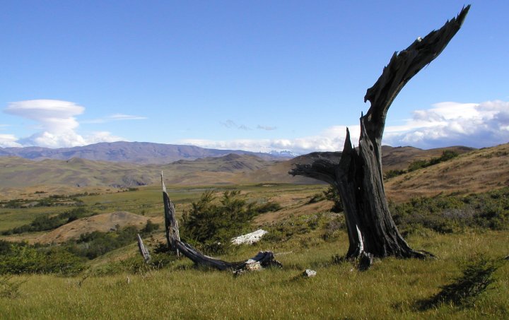 Peak Viewpoint