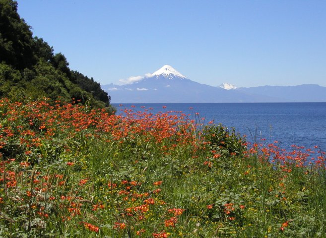 Volcan Osorno