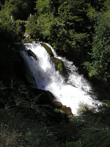 Rio Frio