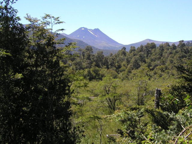 Volcan Puyehue