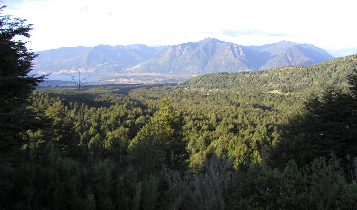 Pucón from Above