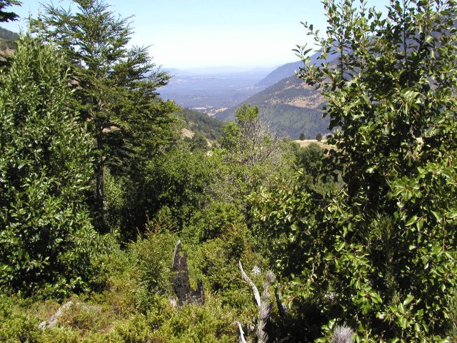 Huerquehue Valley