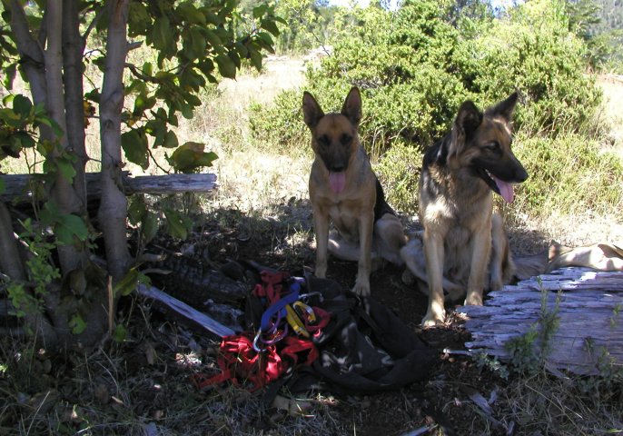 Trail Leaders