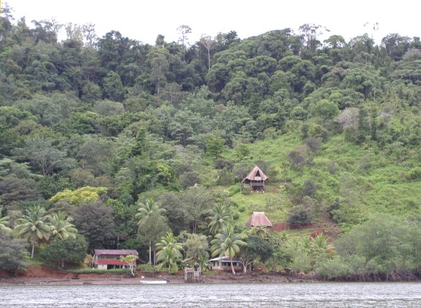 Houses on the Rio Sierpe