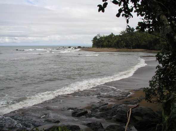 Near Rio Claro