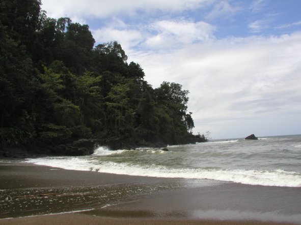 River Meets Ocean