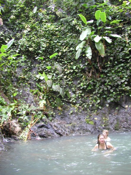 Waterhole Swimming