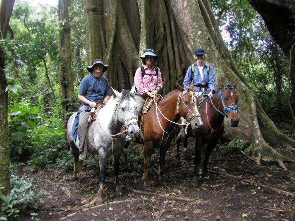Horseback Riding