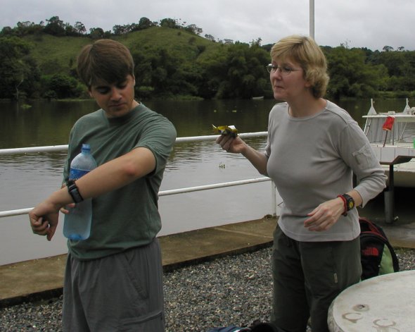 What's That on Your Arm?