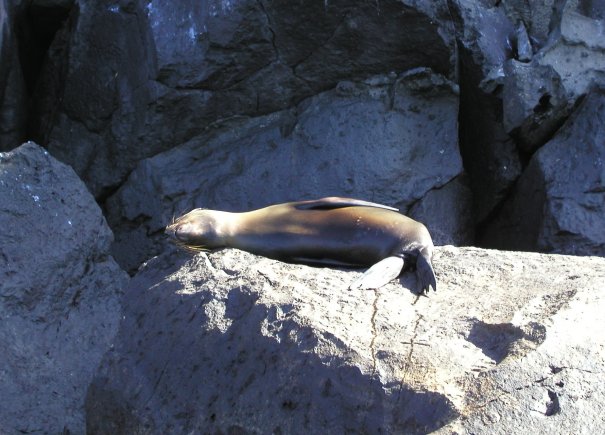 Resting Anywhere