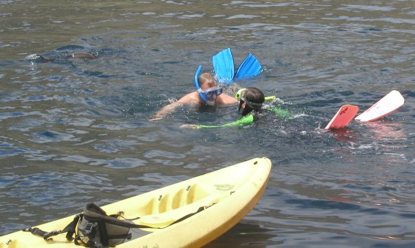 Swimming with Sea Lions