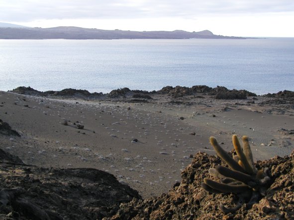 Isla Bartolome