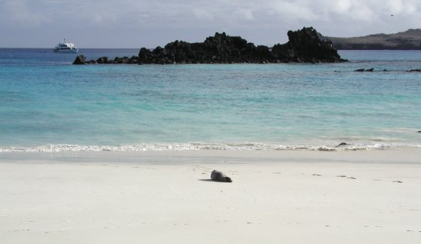 Gardener Bay