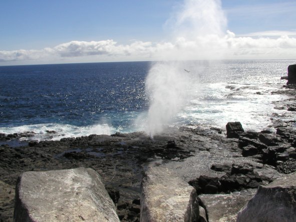 Punta Suarez