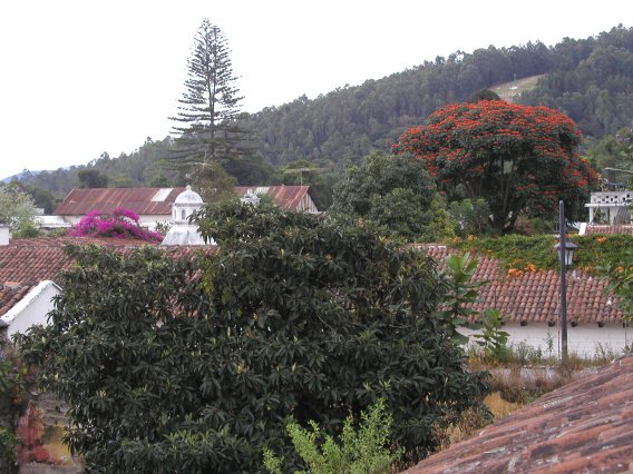 Casa de Pompenoe