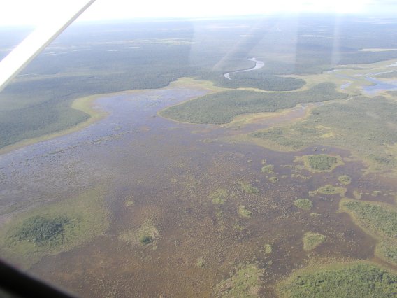 Over Belize