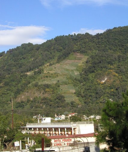 Farmed Hillside