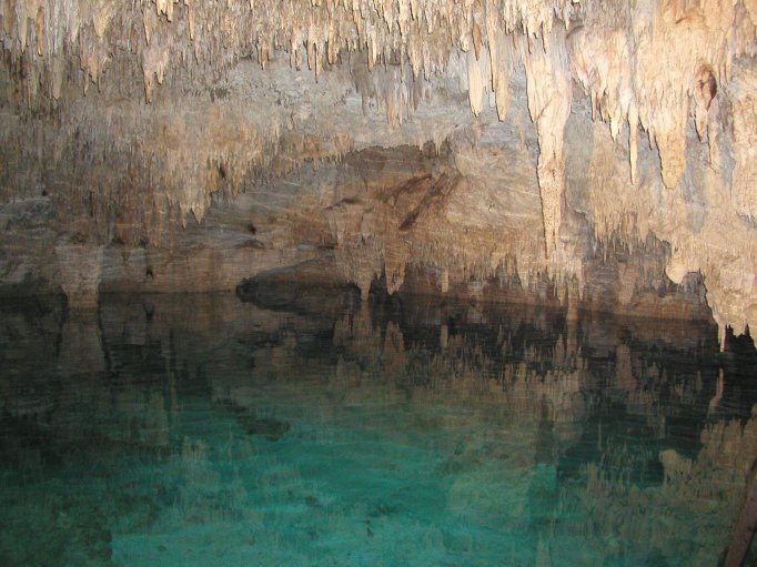 Hidden Worlds Cenote