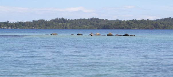 Swimming at Sandbar