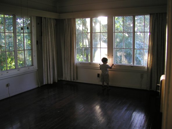 Beau at the Window