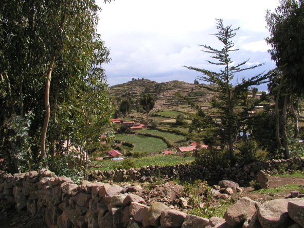 Francisco's View