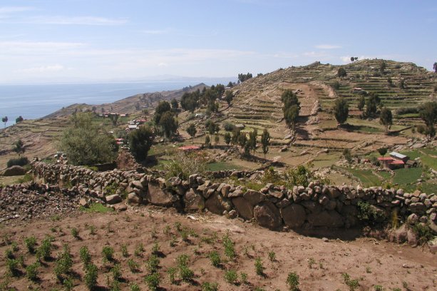 Taquile Terraces