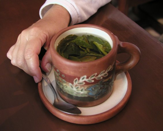 Mate de Coca