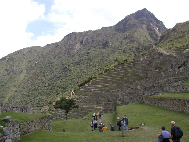 Terraces