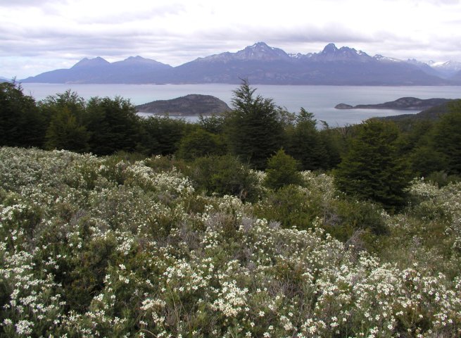 Beagle Channel