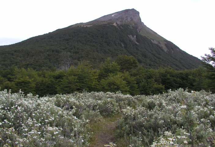 Cañadón del Toro