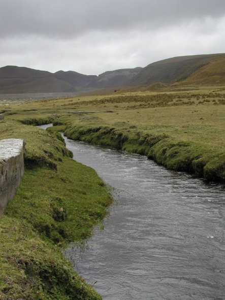 Mountain Stream