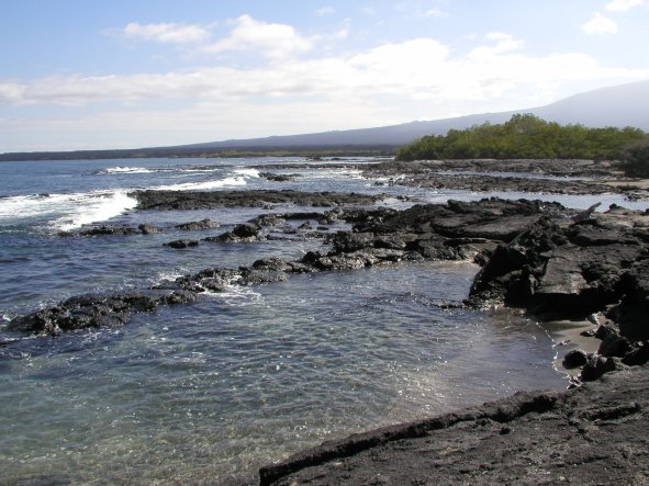 Punta Espinosa