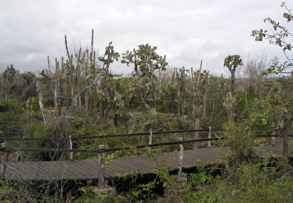 Darwin Research Station