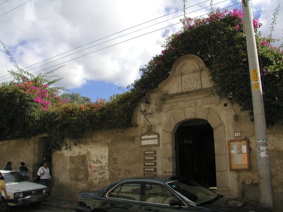 Bouganvillia Covered Ruin